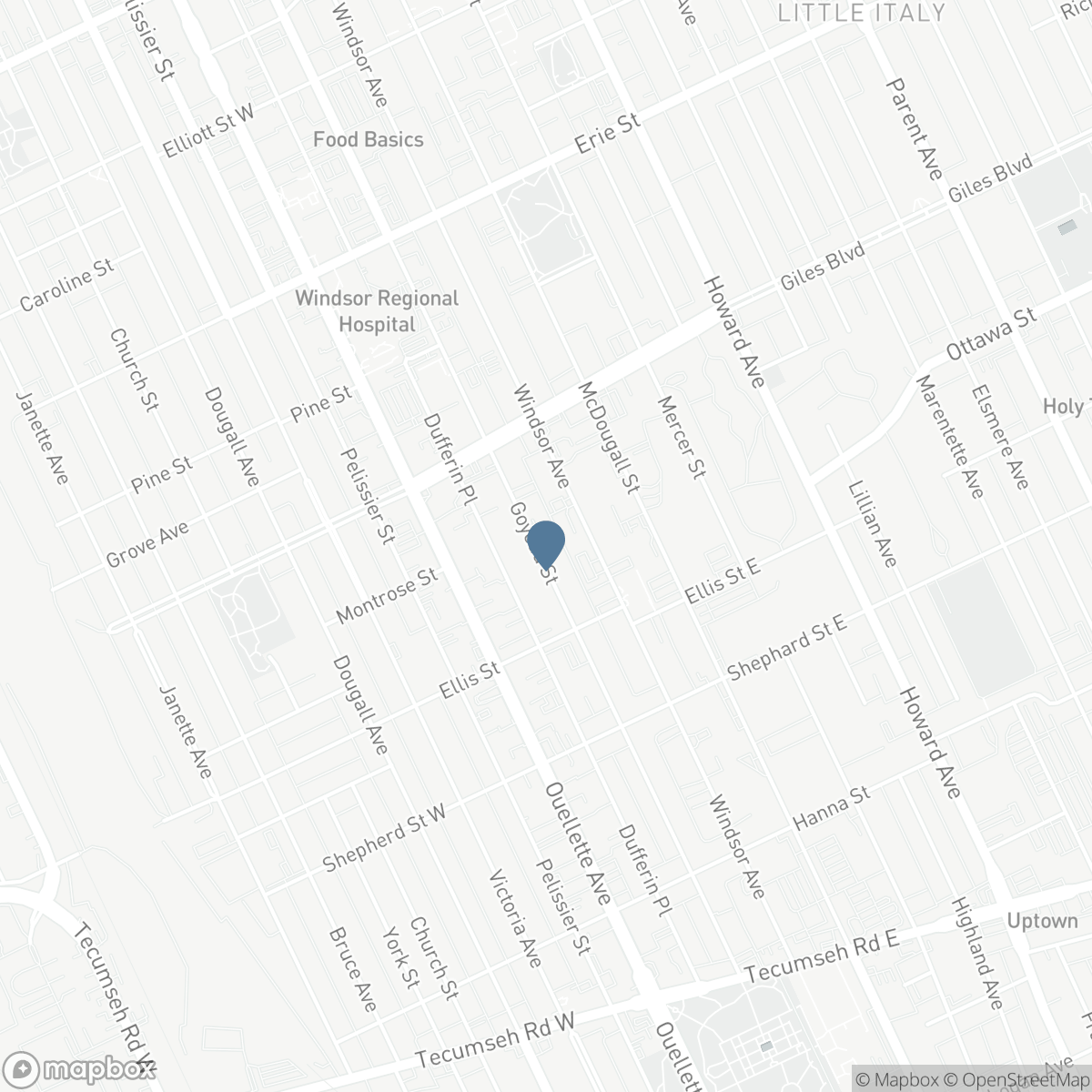 1320 GOYEAU, Windsor, Ontario N8X 3L1